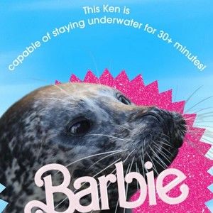 Meet your Posher, Trinity